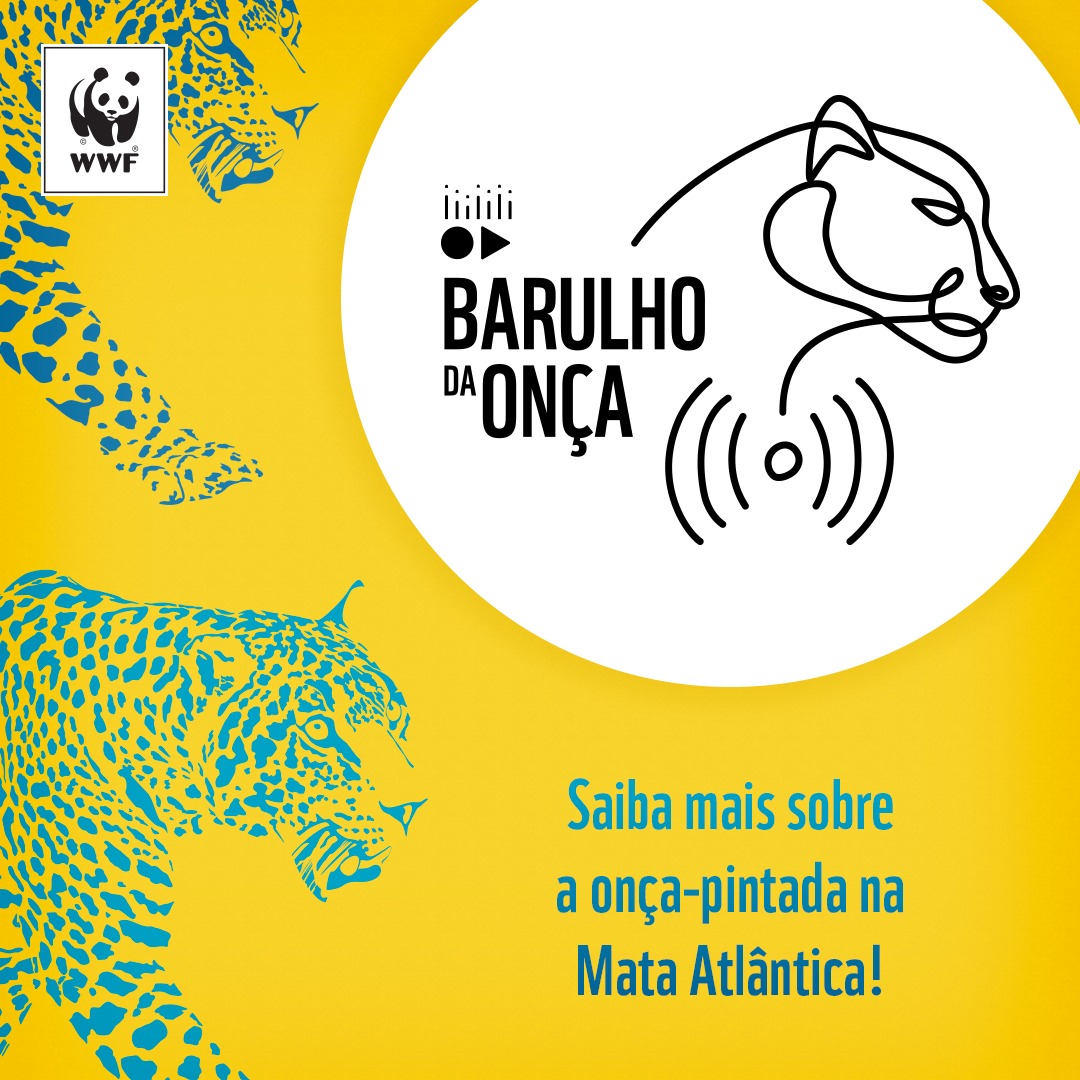 Barulho da Onça – WWF Brasil